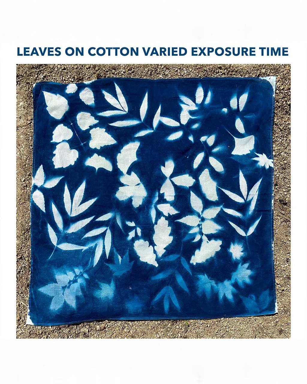 Cyanotype Bandana DIY Kit
