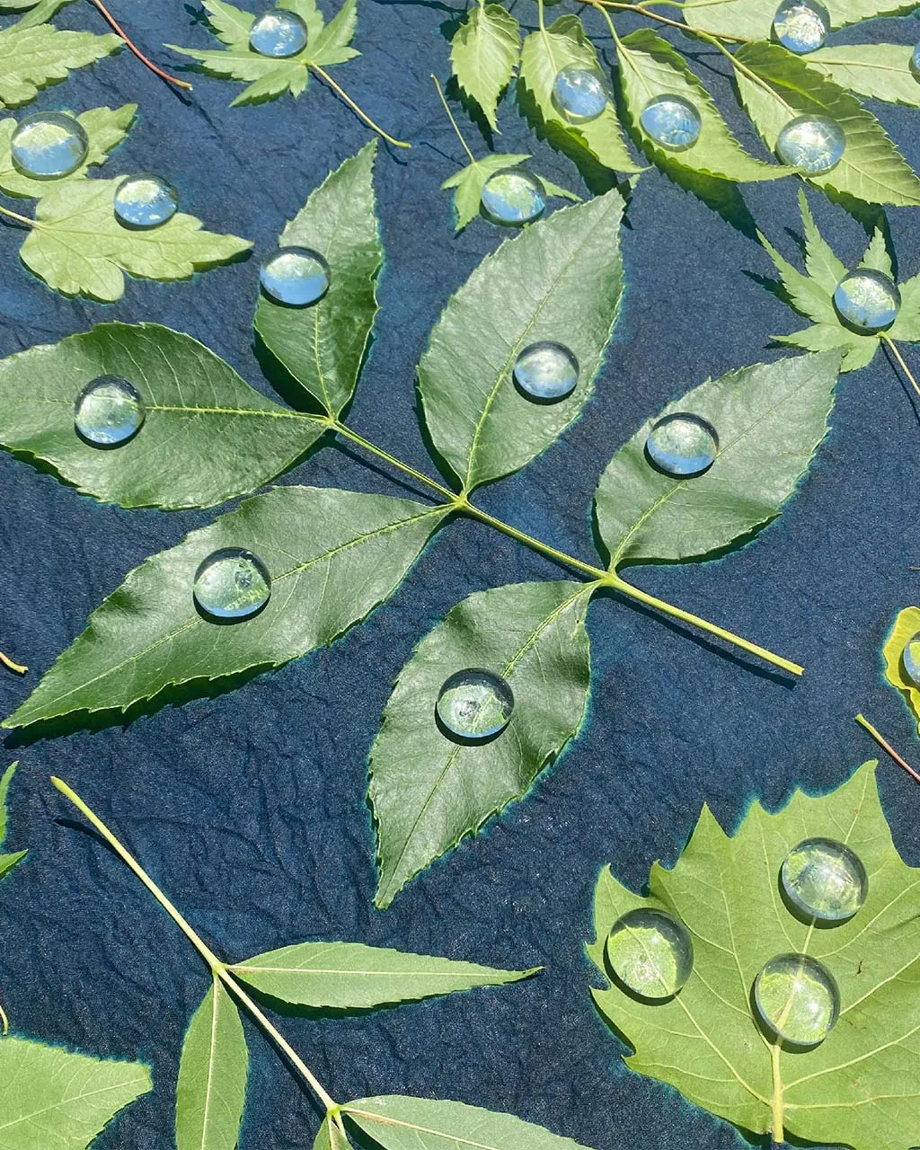 Cyanotype Bandana DIY Kit