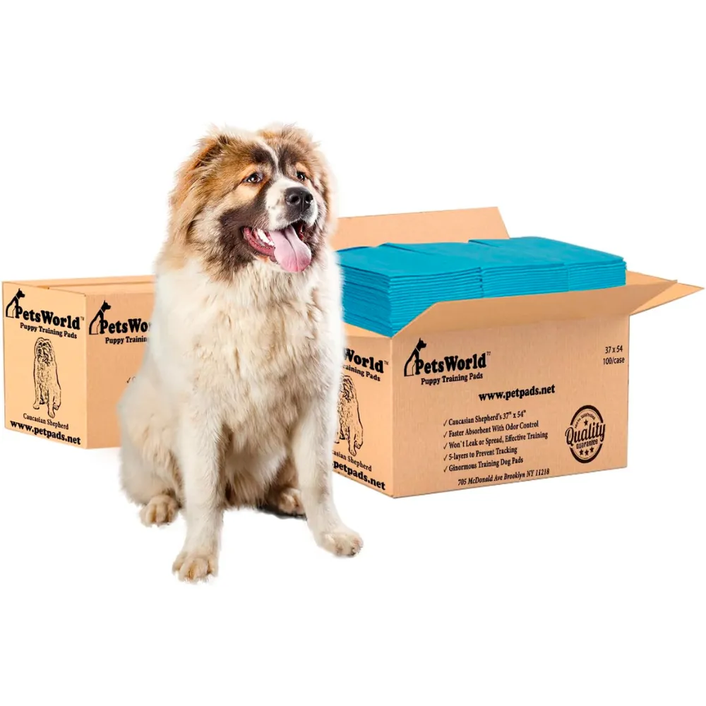 PetsWorld 37x54 Inch Pee Pads: 3XL Tear-Resistant & Leak-Proof