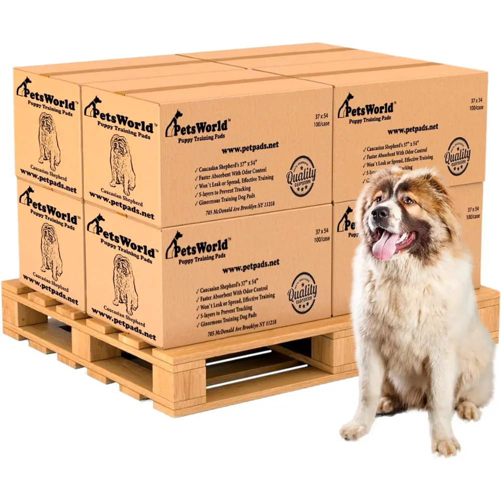 PetsWorld 37x54 Inch Pee Pads: 3XL Tear-Resistant & Leak-Proof