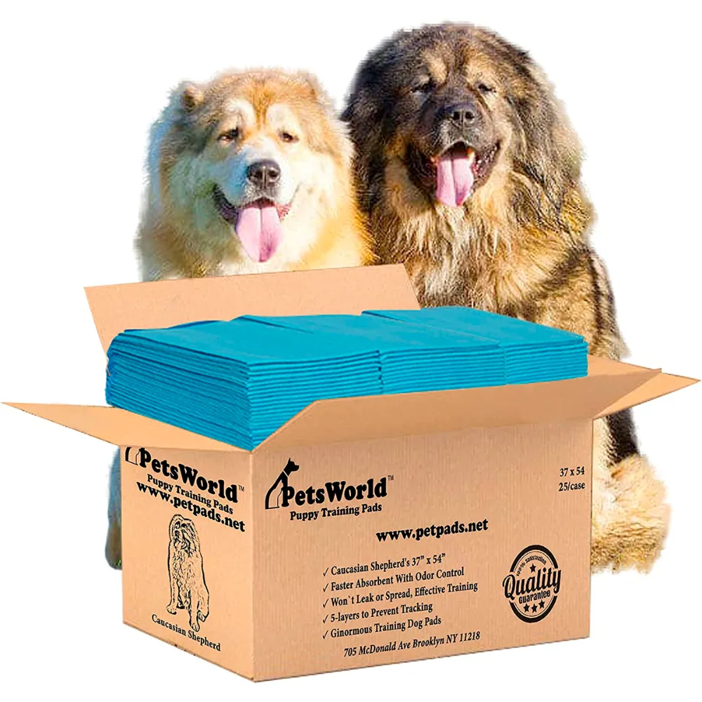 PetsWorld 37x54 Inch Pee Pads: 3XL Tear-Resistant & Leak-Proof