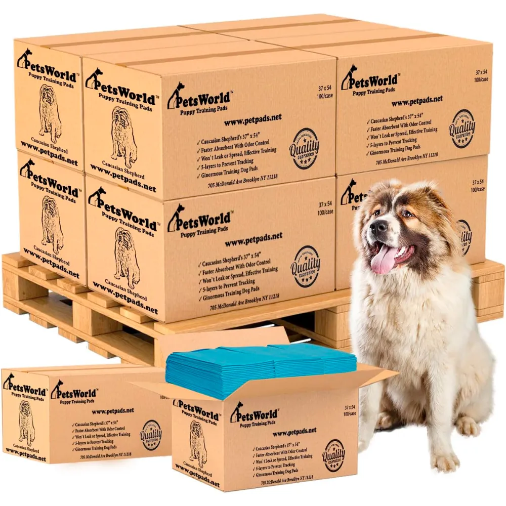 PetsWorld 37x54 Inch Pee Pads: 3XL Tear-Resistant & Leak-Proof