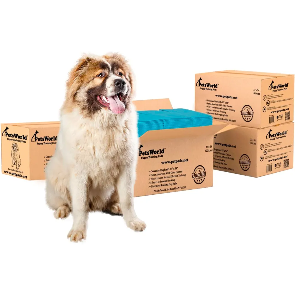 PetsWorld 37x54 Inch Pee Pads: 3XL Tear-Resistant & Leak-Proof